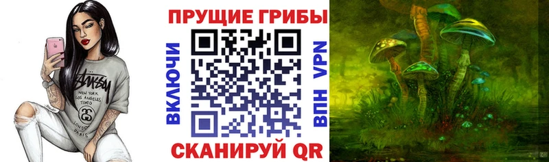Галлюциногенные грибы ЛСД  МЕГА ONION  Лебедянь 